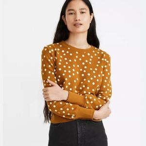 Madewell Fall Polka Dot Crew Neck Sweater